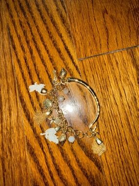Lilly Pulitzer Gold Metal Hook tassel and Charm Bracelet.